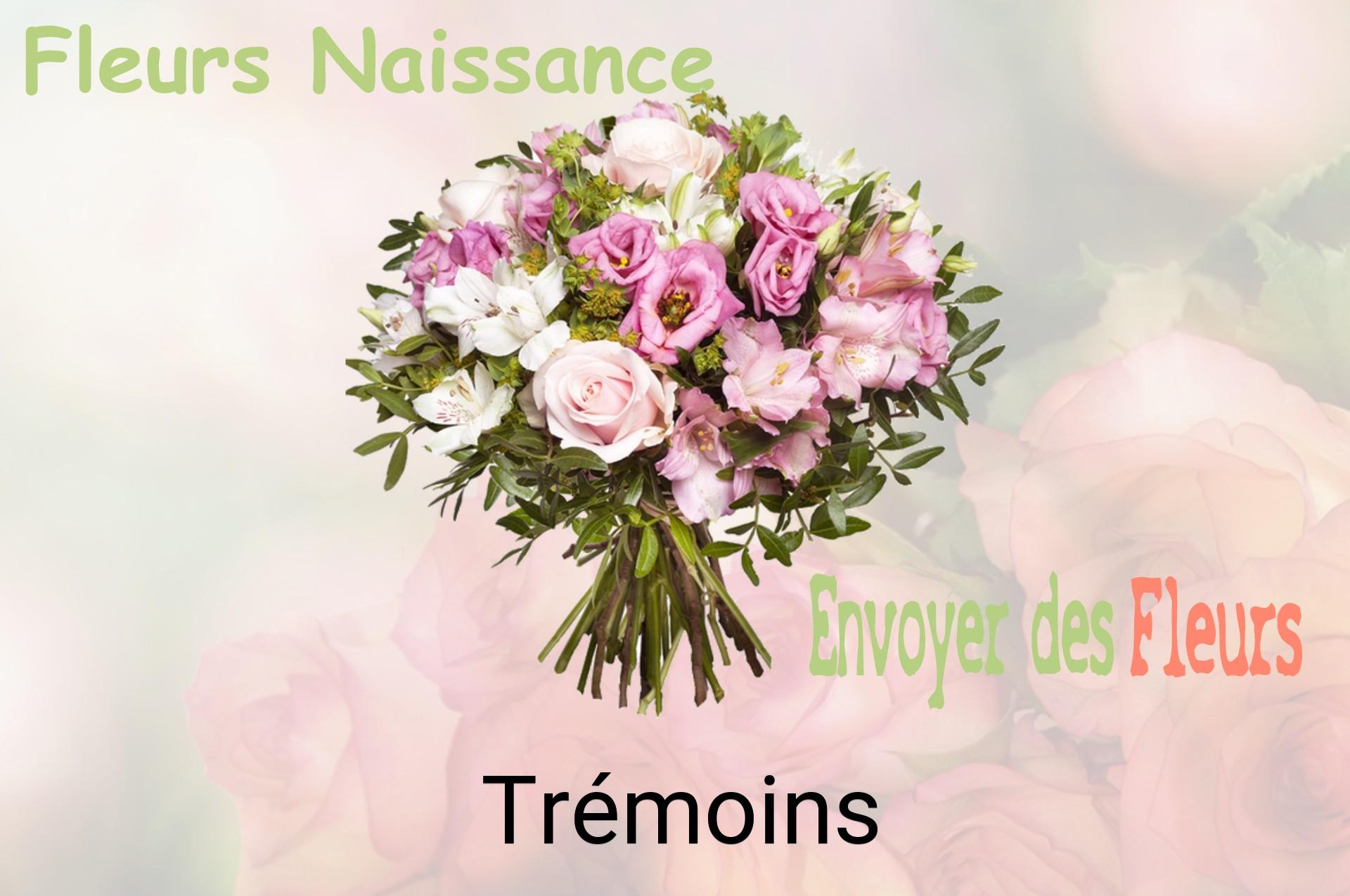 Bouquet de fleurs de naissance livré à Trémoins