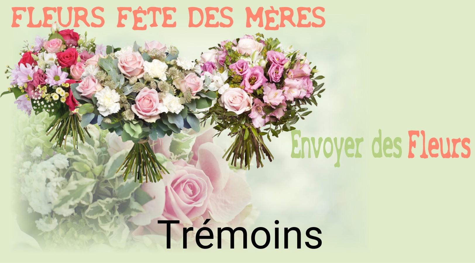 Bouquet de Fête des Mères livré à Trémoins